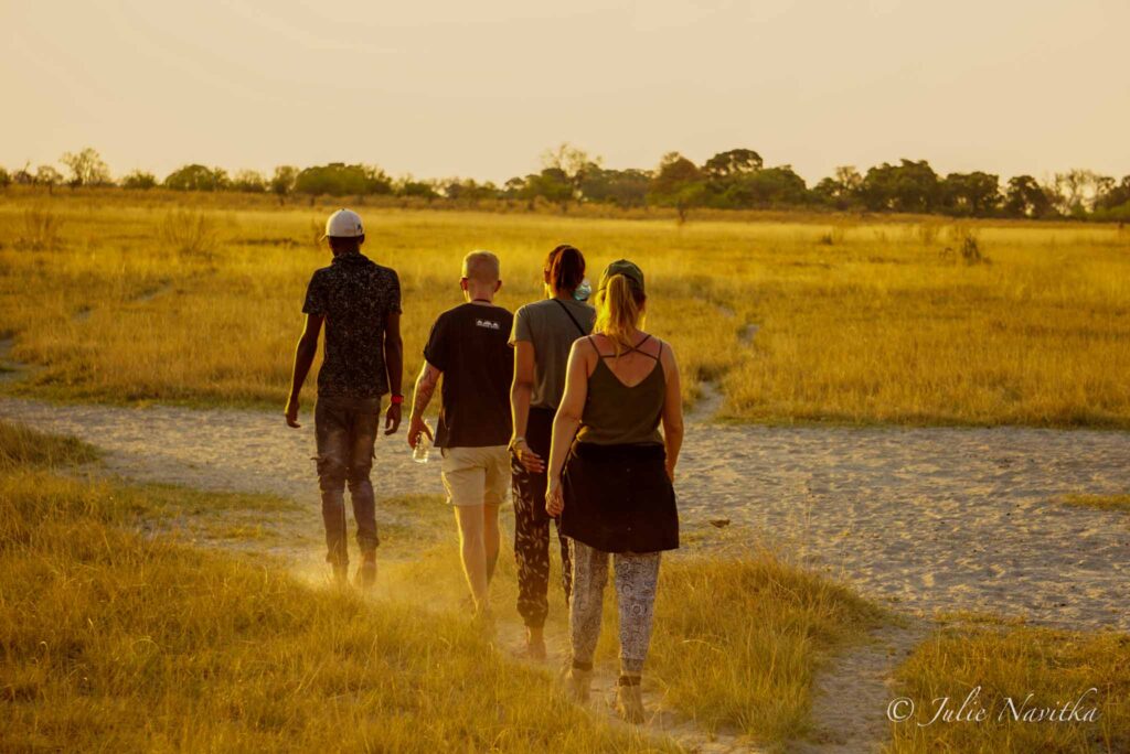 Image of three travelers following single file behind a guide across savannah near sunset. Hiring local guides can help your travel be more economically sustainable. 