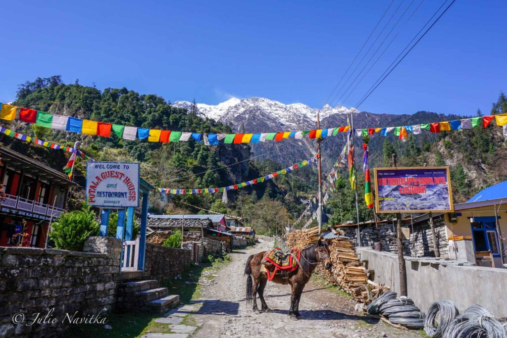 Image of saddled horse standing in the middle of a narrow village street in Nepal with mountainous background. 