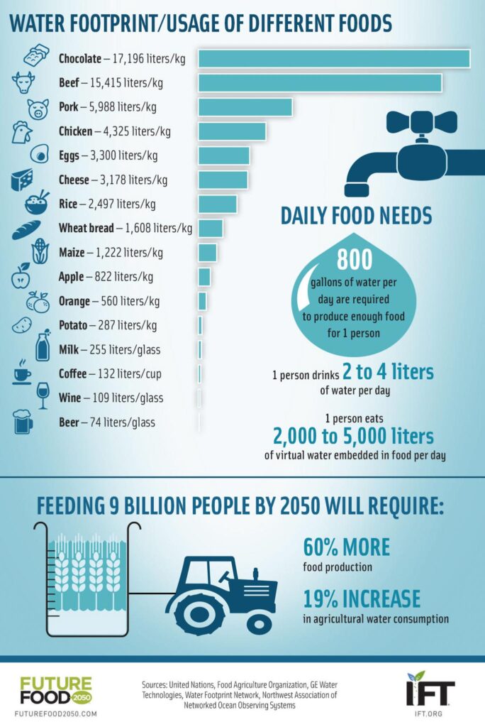 Infograph displaying the hidden water use of common foods. Our food choices play a part in our personal water footprint.