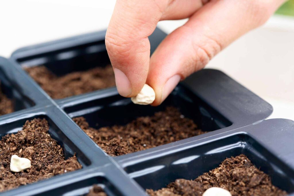 Image of a hand planting a seed in a small plastic garden container. 