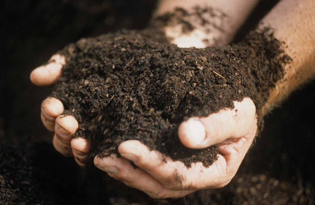 Image of a pair of hands holding a heaping amount of fresh, fine soil with a black background. Finished compost can help you grow a garden for a more sustainable home.