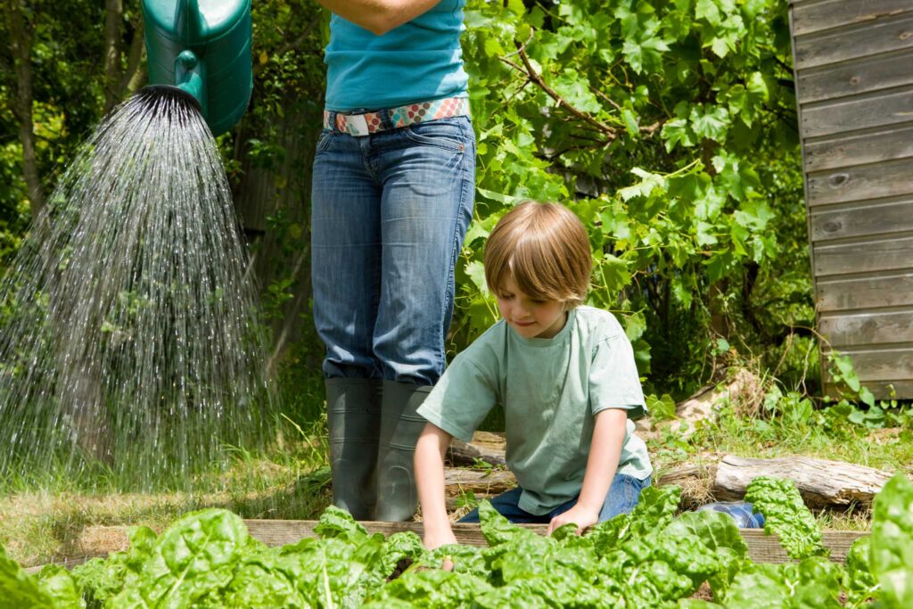 Image of a young child helping in a garden, with adult watering from a watering can. Planting a garden at school has many benefits and can make your school more sustainable.