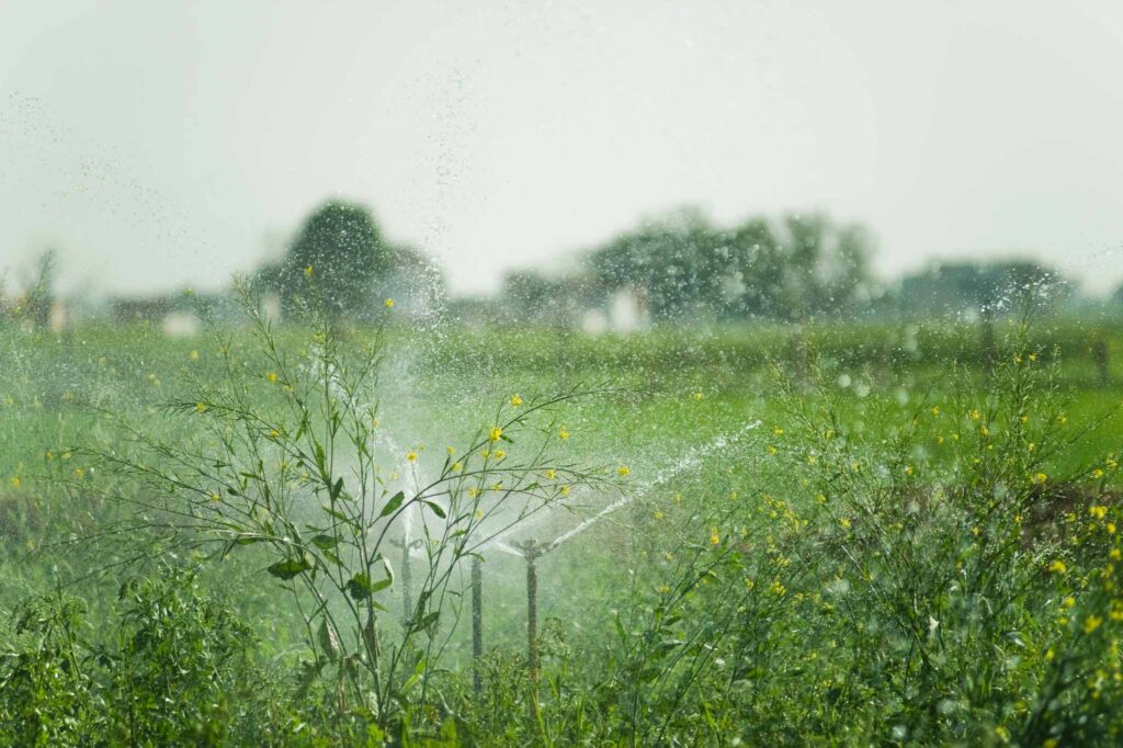 Image of an irrigation system spraying in a green field. Soil with composted added has been shown to retain moisture, reducing the water needed to irrigate.