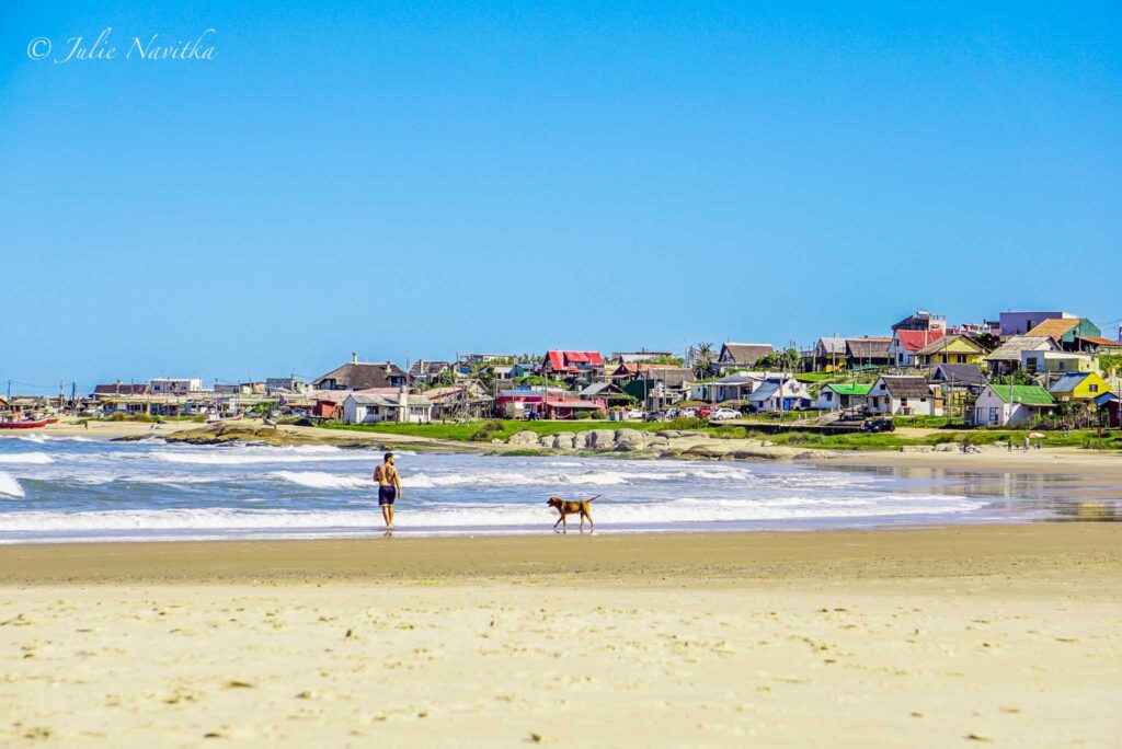 Image of a beach with a town in the background. A man with his dog frolick near the water's edge. Make sure to clean up after your pets for a sustainable beach visit.