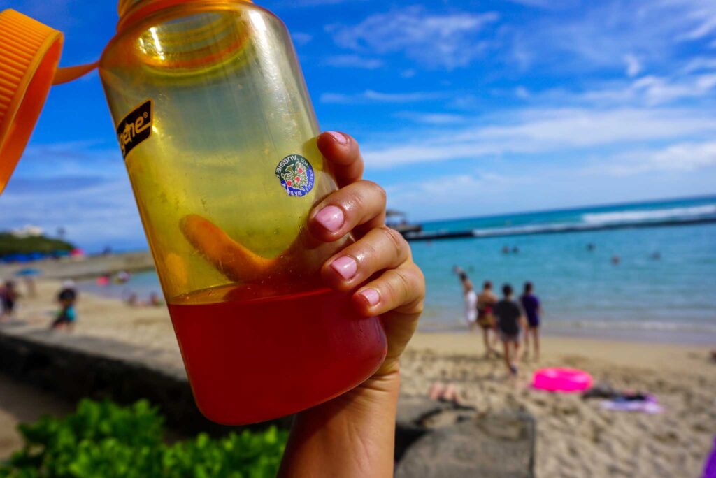 Up-close image of a reusable plastic water bottle being held by a hand with beautiful beach in the background.