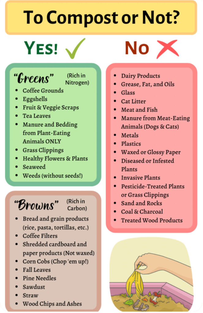 Infographic showing what is safe to compost and what should not be added to your compost pile