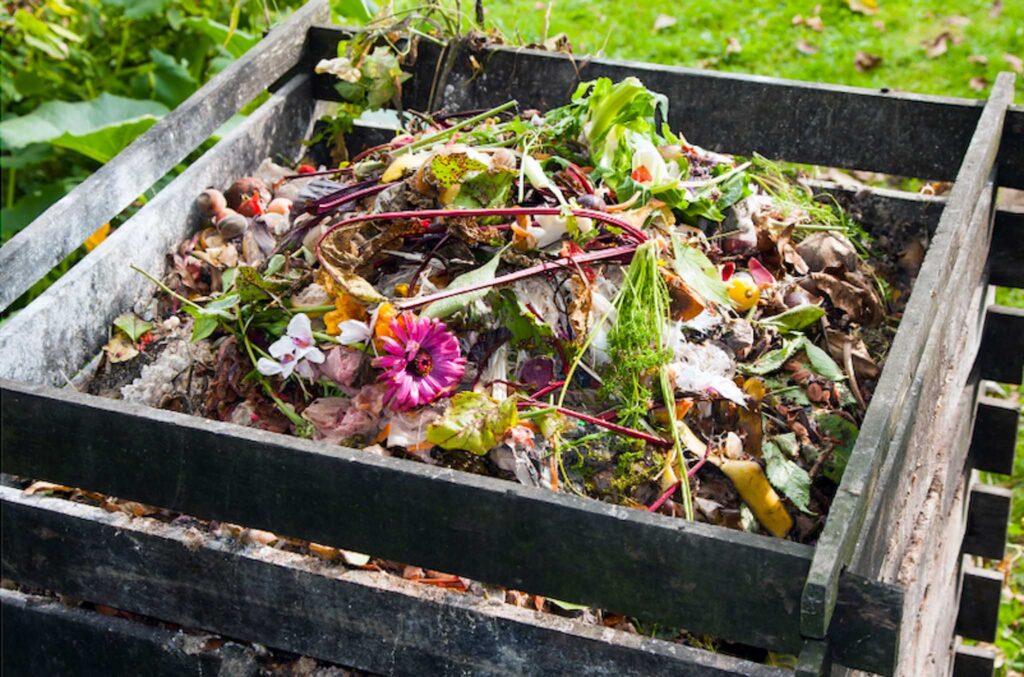 Image of the top of a compost box built from pallets filled with food waste. Starting a compost program is one way to make schools more sustainable.