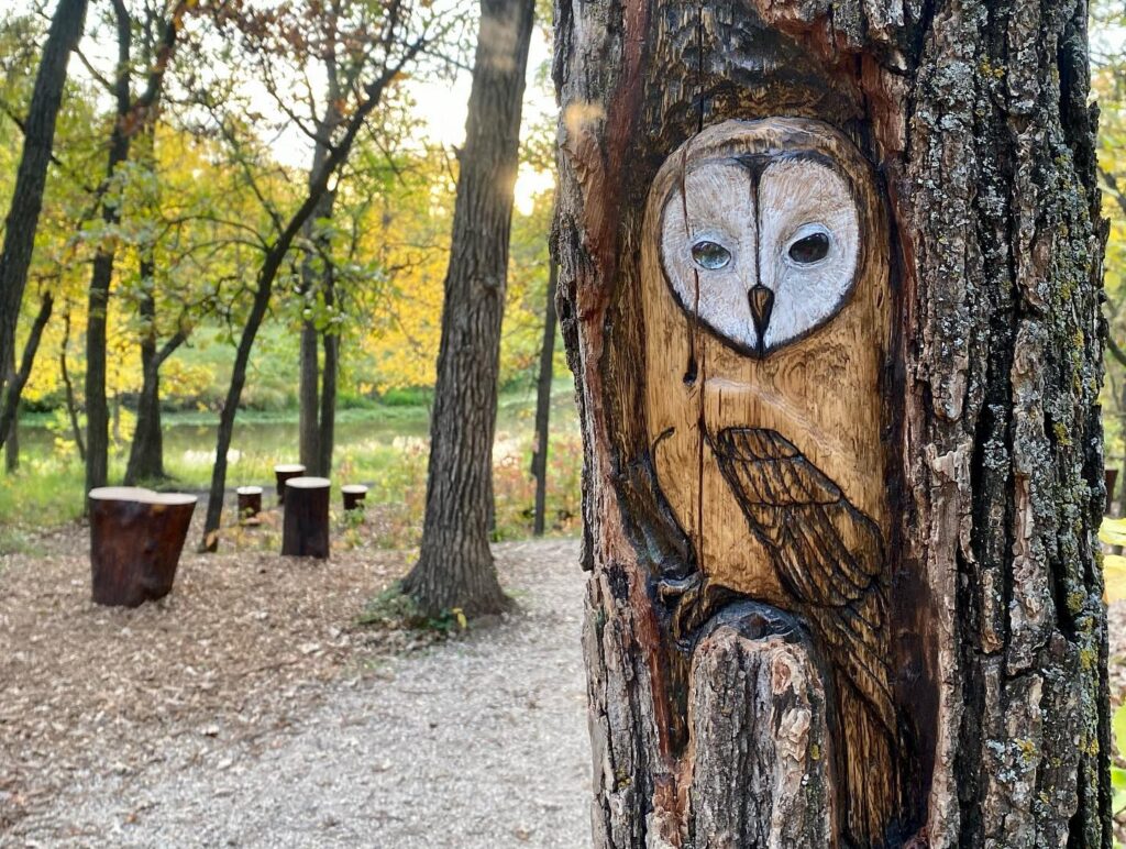 Image of an owl carved into a tree with a forested background featuring some wooden stumps as seating.