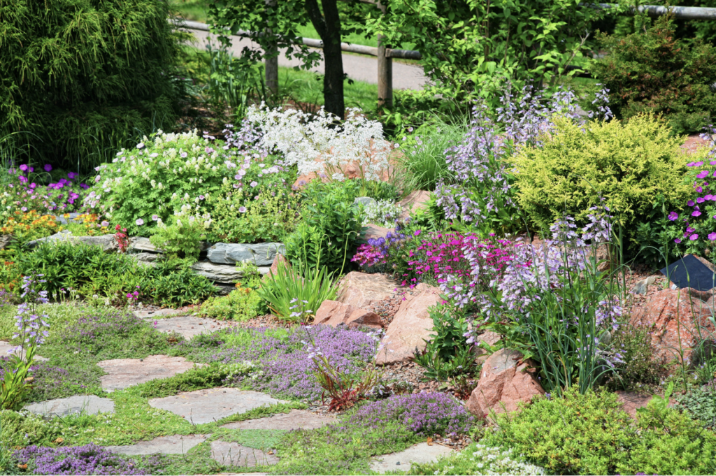 Image of a yard with many wildflowers, shrubs, patio stone and native ground cover. Getting rid of you grass means less water wasted on watering.