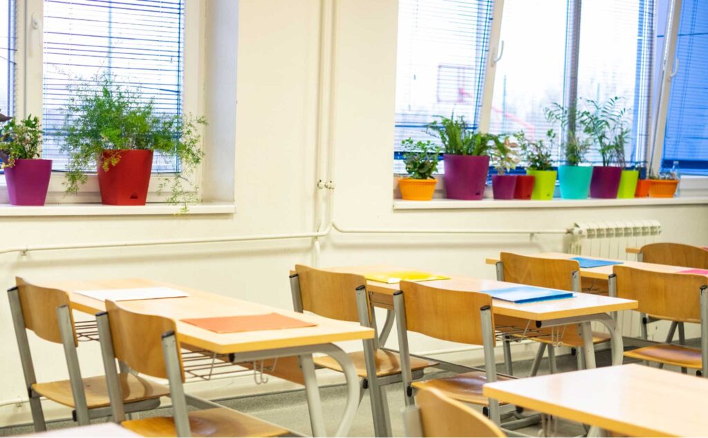 Image of student desks with a window lined with plants in the background. Adding plants to your classroom can increase focus and helps keep air clean.
