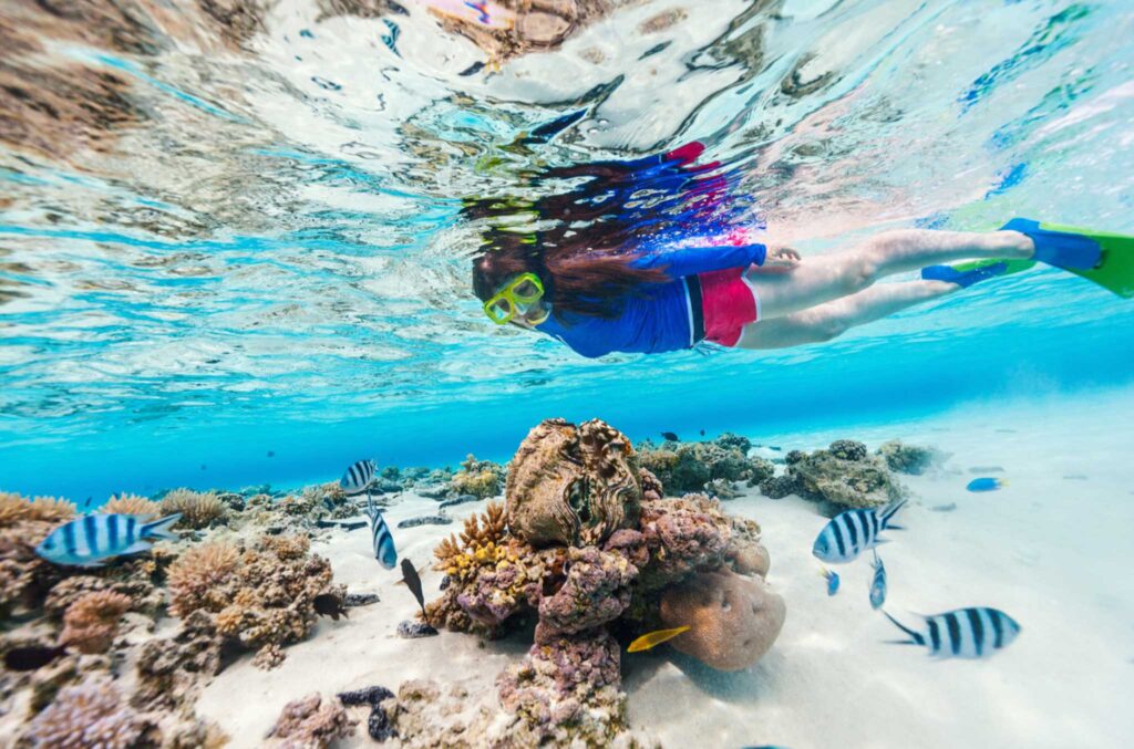 Image of a snorkeler at the water's surface with coral and fish underneath. The best reef safe sunscreens are those that don't contain chemicals like oxybenzone and octinoxate.