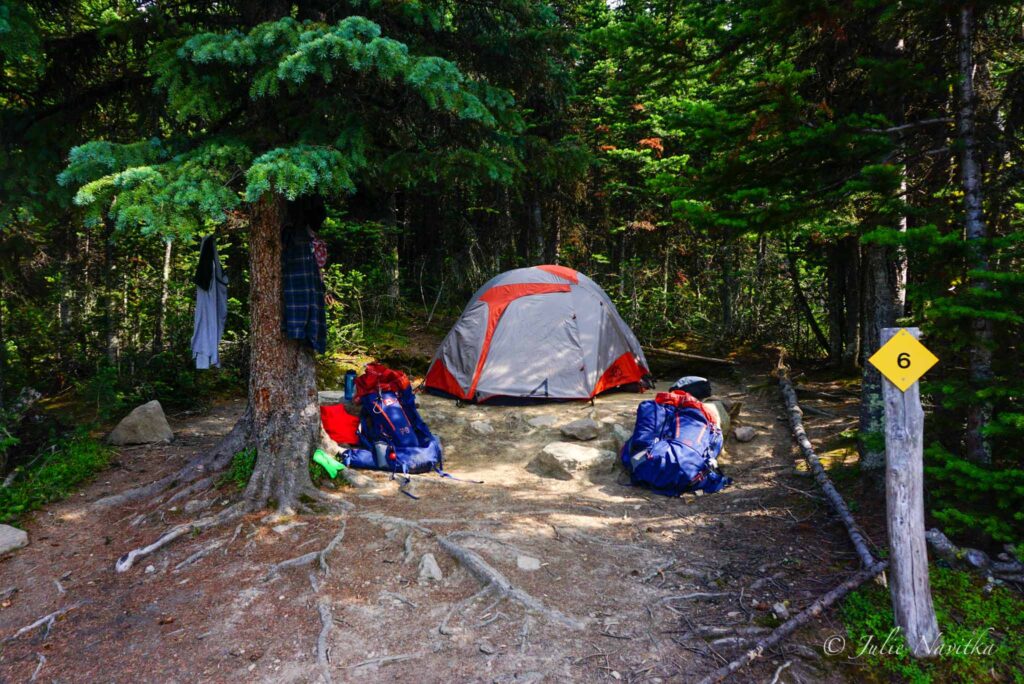 Image of a tent set up amongst the trees with two large backpacks out front. If you want to practice eco-friendly camping you should be mindful of your impact on the environment.