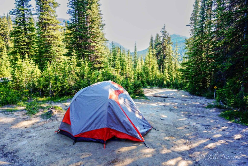 Image of a tent set up on a sandy gravel surface surrounded by pine trees.