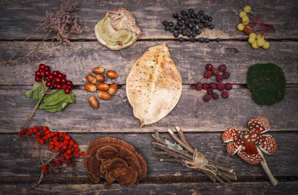 image from above of natural ingredients such as berries, leaves, and spices laid out on a rustic tabletop. Our personal care products should be plastic-free and all-natural.