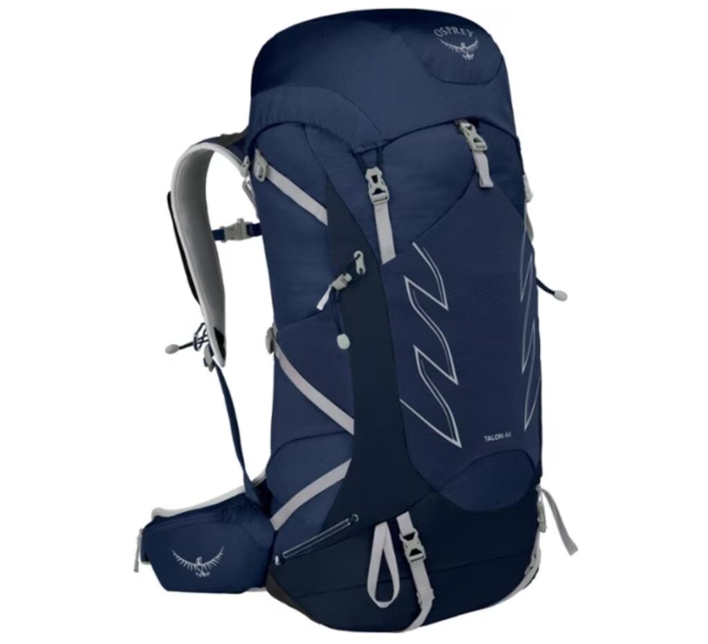 Image of the Osprey Talon backpack from REI. Travel tip - fit all your stuff in here and carry it on!