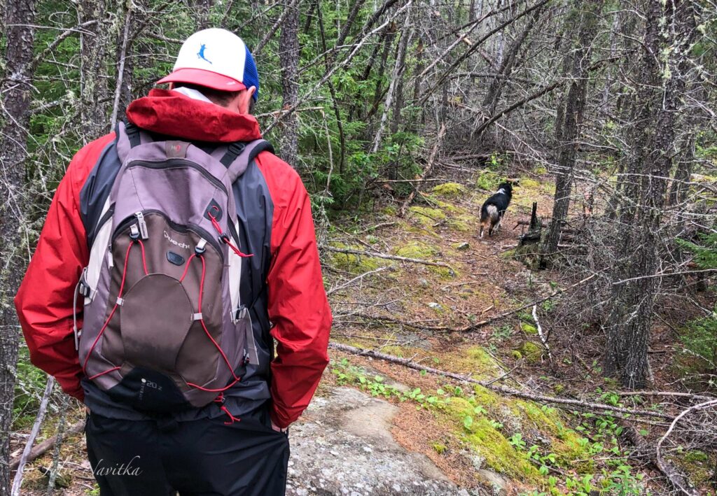 Image of a hiker taken from behind walking on a trail behind a dog who is excited to be racing ahead.