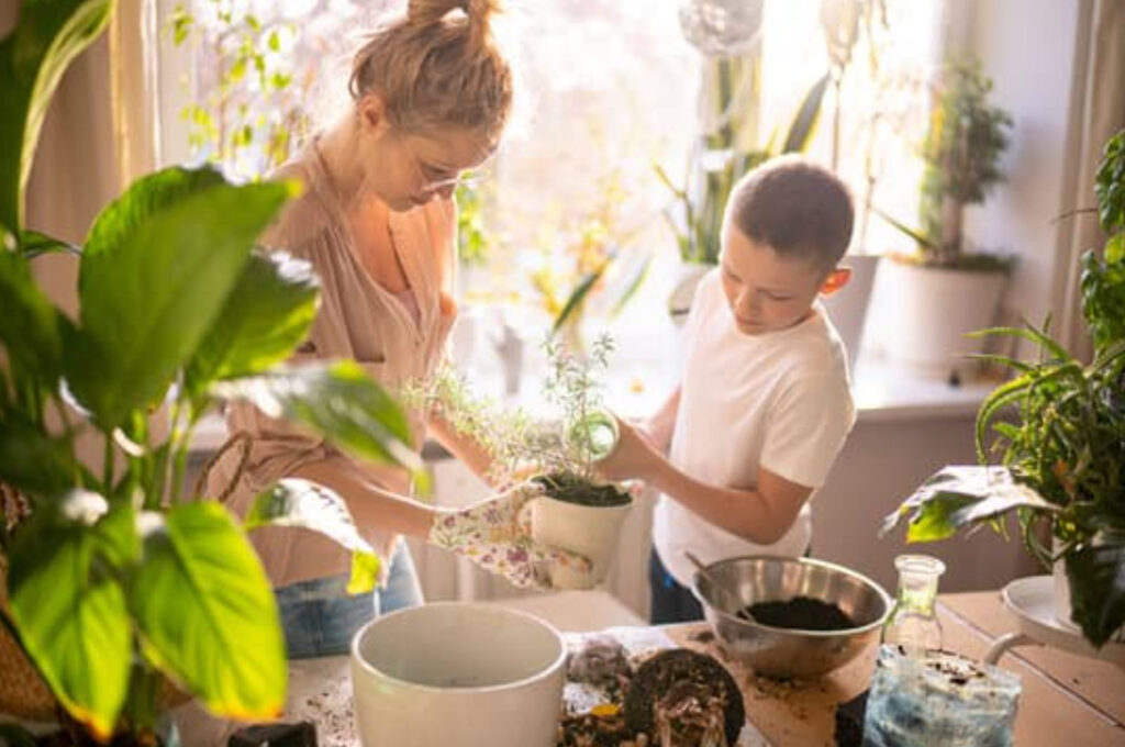 Image of a mother and son replanting in a sunny room.