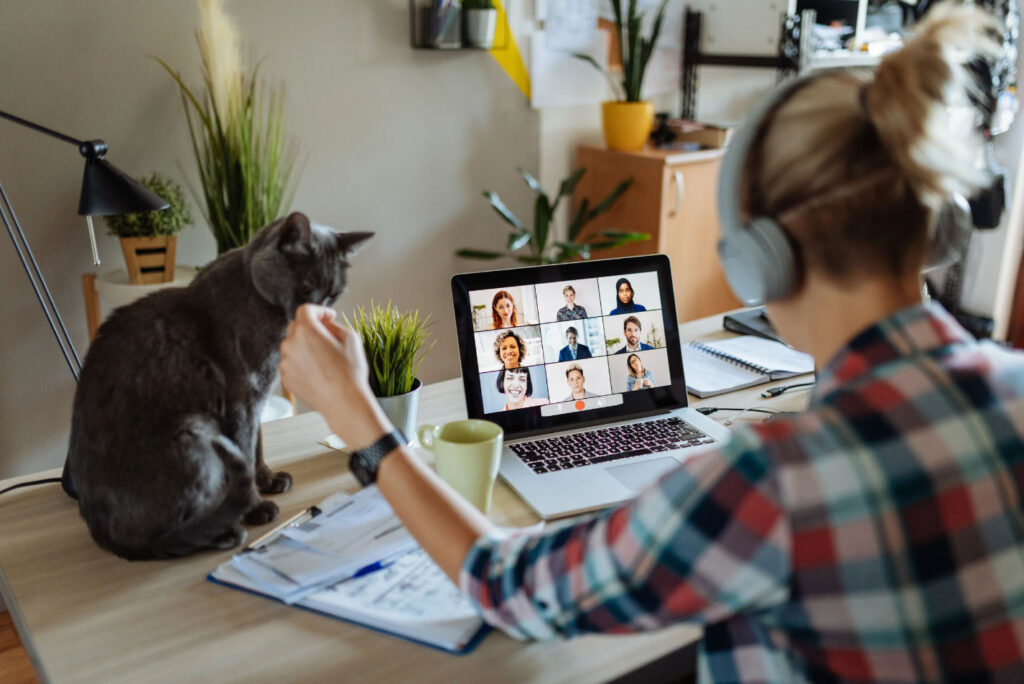 Image of a woman sitting in front of a laptop at a desk in her home with a cat.