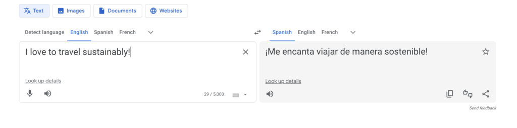 Screenshot of Google Translate with the phrase "I love to travel sustainably" in the text box.