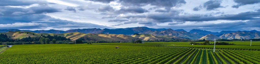 Image of the expansive property and vineyards at Lawson's Dry Hills. 