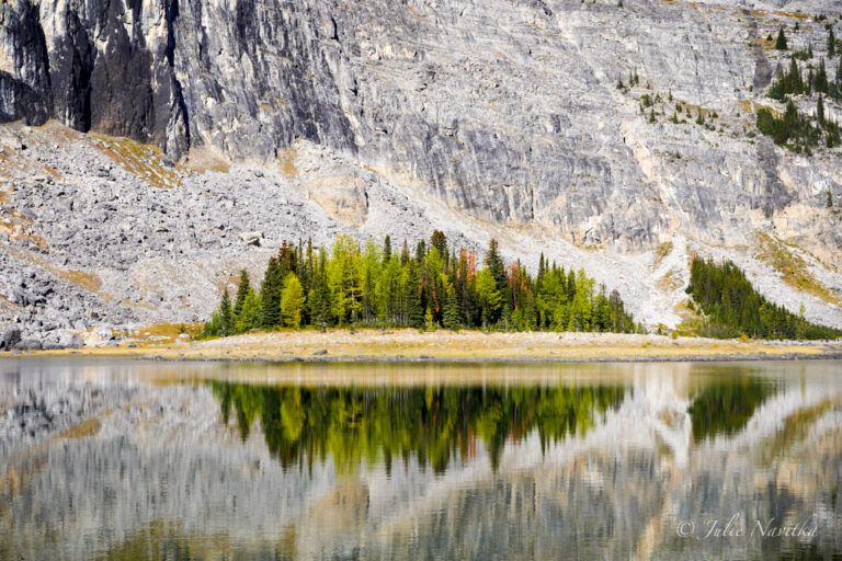 Image of a stand of trees reflected in a lake surrounded by rocky cliffs.