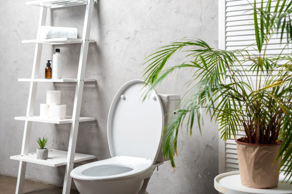 Image of a bathroom toilet beside a green plant and a shelf containing typical bathroom essentials.