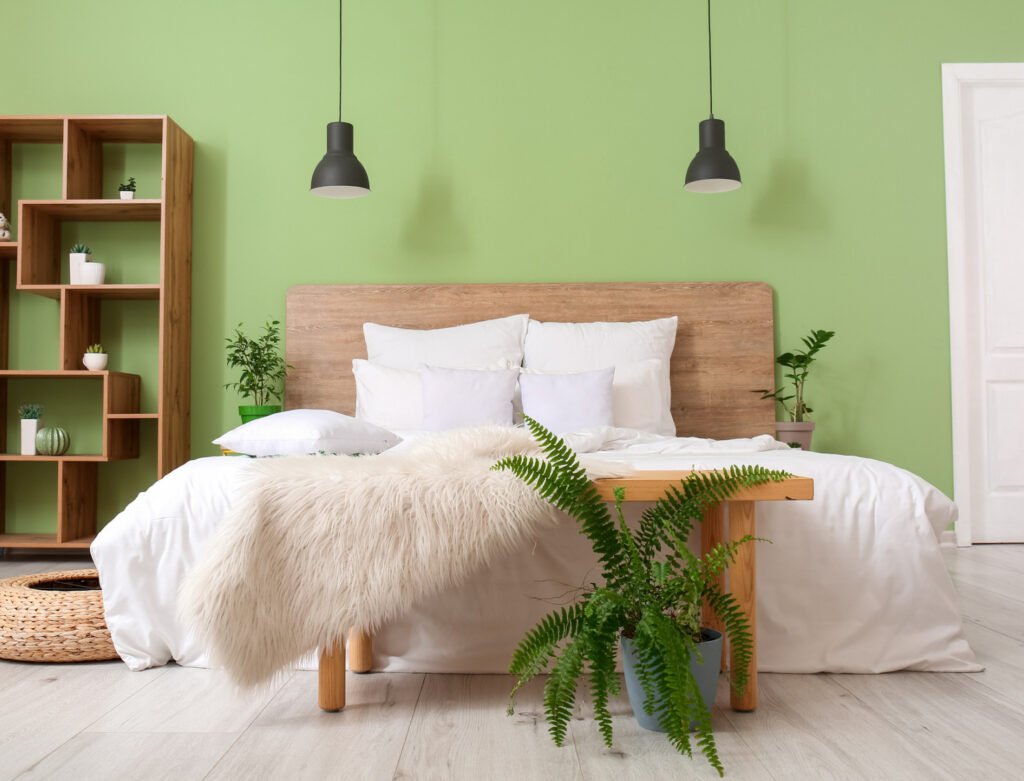 Image of a minimalist bedroom with a green wall, natural wooden bedframe, and plant. Improver room air quality with plants, like a fern.
