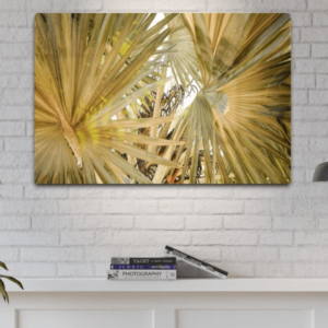 Image of the Under the Palms print on a wall above a shelf.