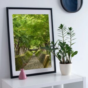 Image of the Maple Corridor print framed on a shelf.