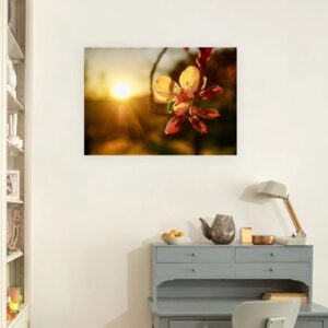 Image of the Sunset Blossom print hung over a desk.