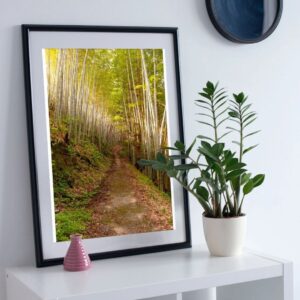 Bamboo Pathway Print