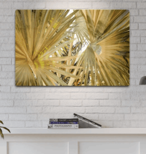 Image of the "Under the Palms" photography print hung over shelf.