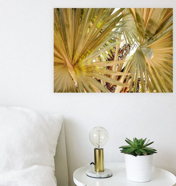 Image of the "Under the Palms" photography print hung over an end table.
