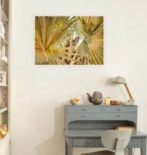 Image of the "Under the Palms" photography print hung over a desk.