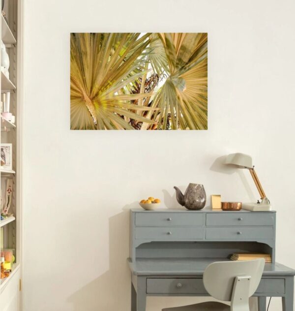 Image of the "Under the Palms" photography print hung over a desk.
