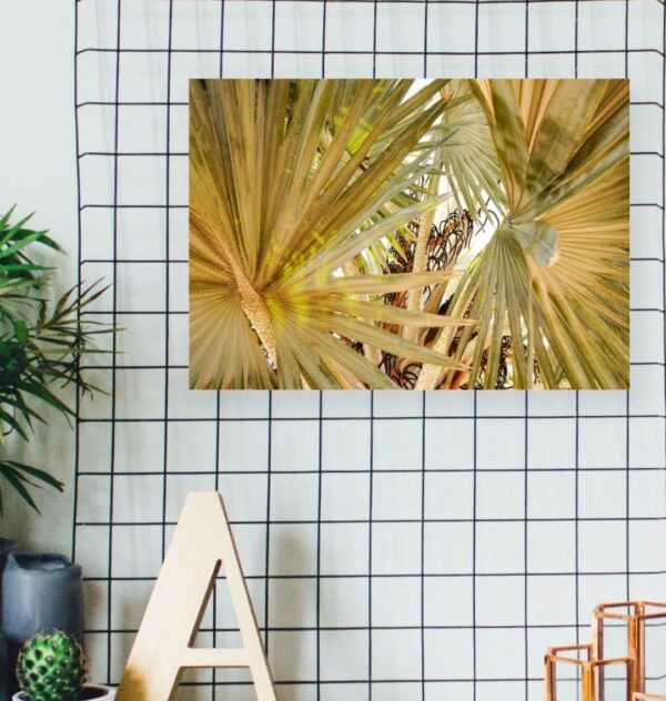 Image of the "Under the Palms" photography print on a wall over a desk.