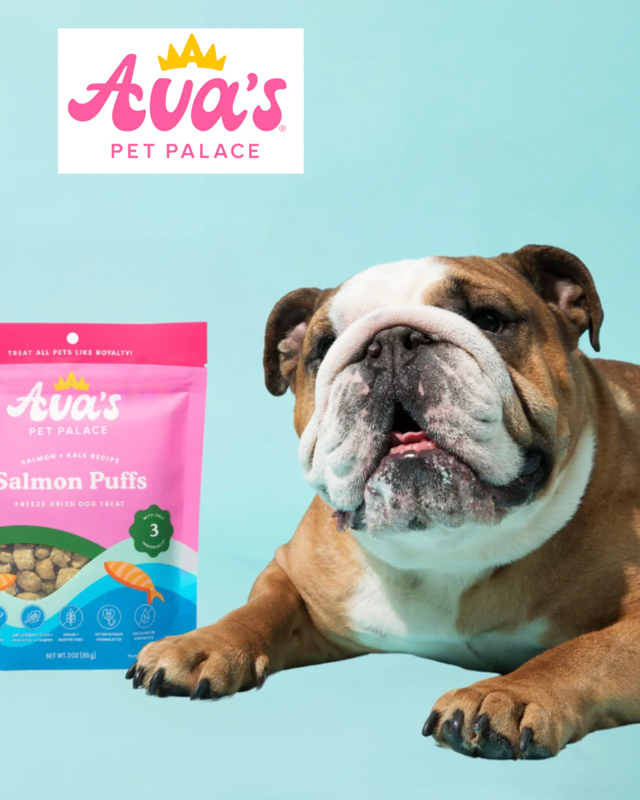 Image of a dog with a bag of Salmon Puffs from sustainable brand Ava's Pet Palace.