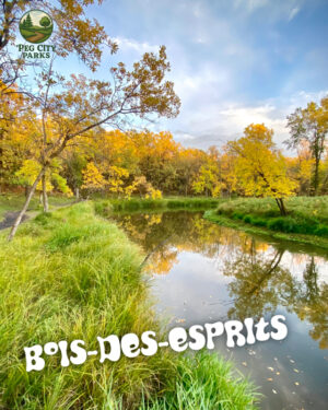 Image of a riverbank in autumn and the title "Bois-des-Esprits" overlaid.