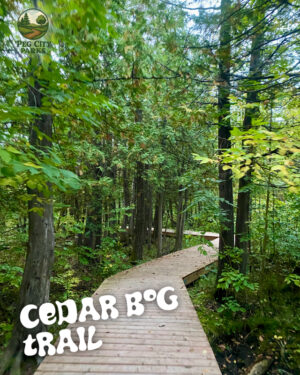 Image of a wooden boardwalk in a forest and the title "Bunn's Creek Trail" overlaid.