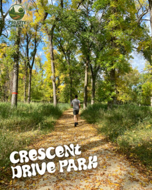 Image of a forest in summer with a man running on a trail and the title "Crescent Drive Park" overlaid.