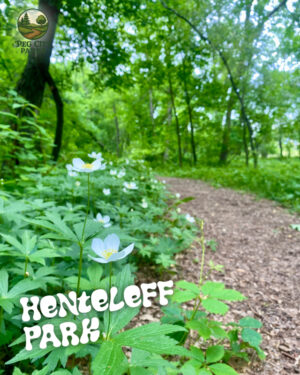 Image of a trail surrounded by lush greenery and the title "Henteleff Park" overlaid.