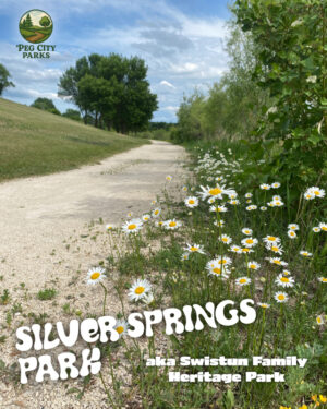 Silver Springs Park Scavenger Hunt - Digital PDF Download