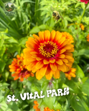 St. Vital Park Scavenger Hunt - Digital PDF Download