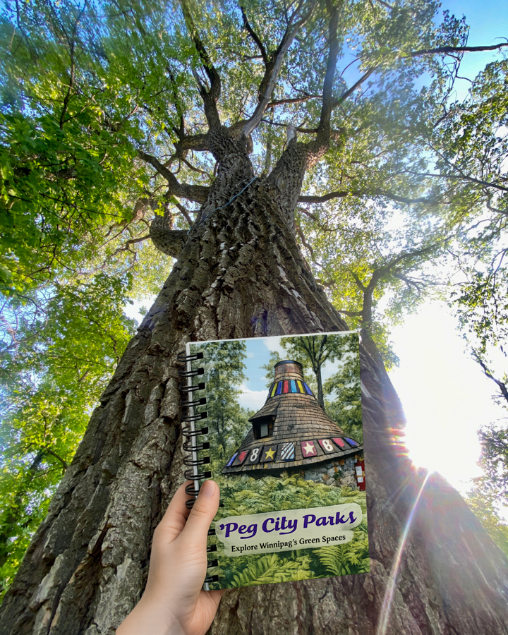 Image of the 'Peg City Parks book held up in front of a large tree.