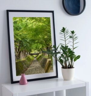 Maple Corridor Print