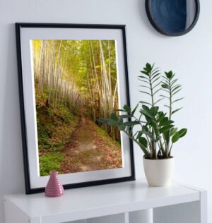 Bamboo Pathway Print