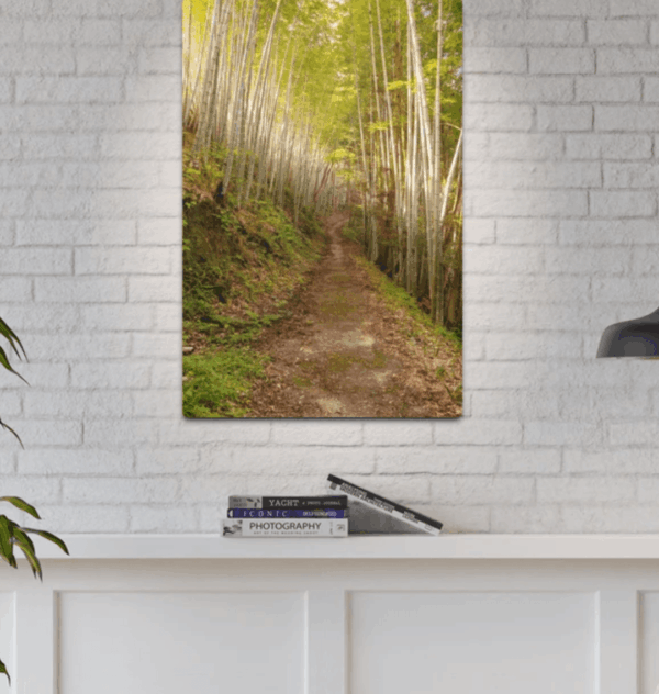 Bamboo Pathway Print - Image 5