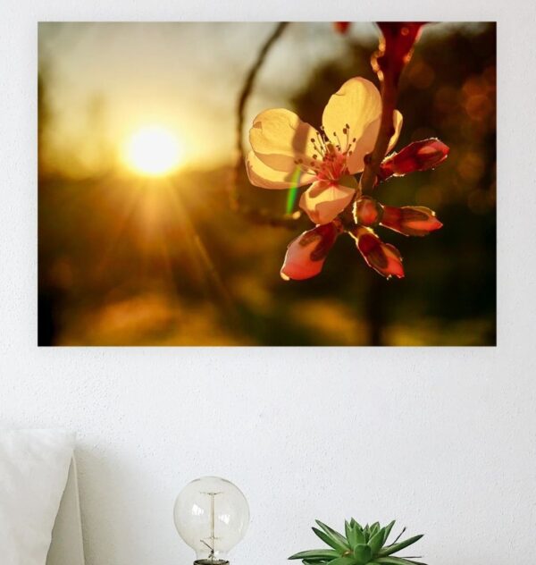 Sunset Blossom Print - Image 2