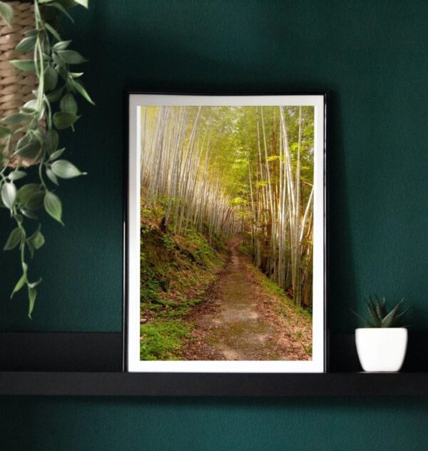 Bamboo Pathway Print - Image 4