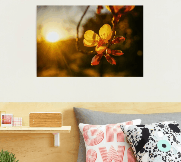 Sunset Blossom Print - Image 4